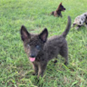 Meet your Posher, Kat